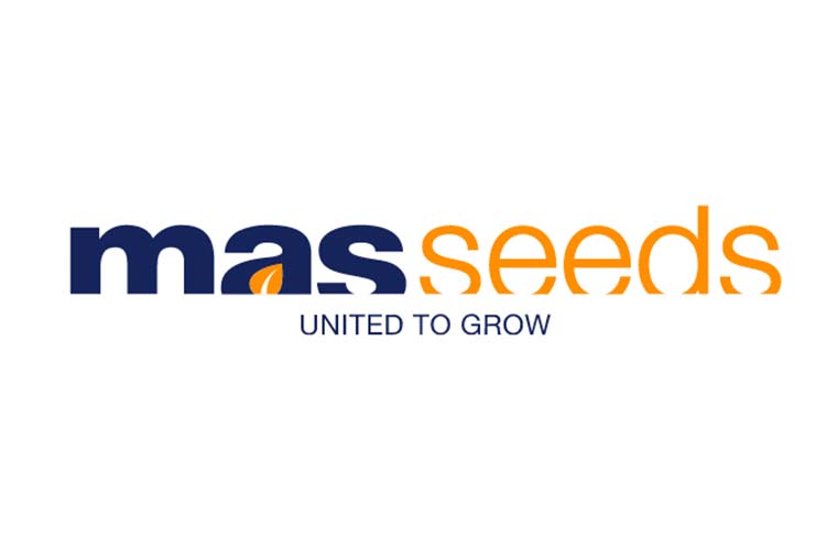 mas-seeds